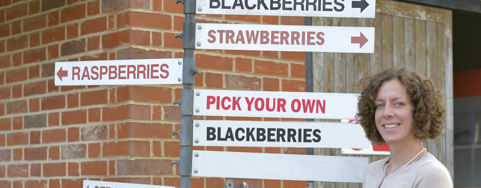 Pick Your Own Fruits at Little Mountains Farm in Great Totham